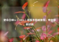 使命召唤16（COD16）新版本枪械推荐，带你称霸战场