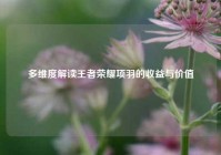 多维度解读王者荣耀项羽的收益与价值