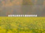 金智秀玩绝地求生遭遇被抢风波