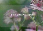 那些好玩的经典Steam游戏