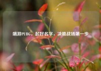 端游PUBG，起好名字，决胜战场第一步
