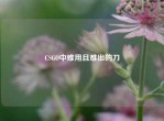 CSGO中难用且难出的刀