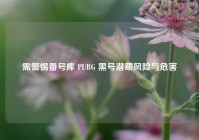 需警惕番号库 PUBG 黑号潜藏风险与危害