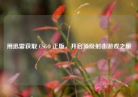 用迅雷获取 CSGO 正版，开启顶级射击游戏之旅