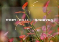 绝地求生（PUBG）打不开邮件问题全解析