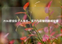 PUBG职业队个人排名，实力与荣耀的巅峰较量