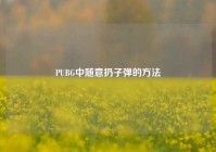 PUBG中随意扔子弹的方法