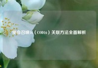 使命召唤16（COD16）关联方法全面解析