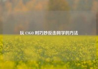 玩 CSGO 时巧妙反击同学的方法