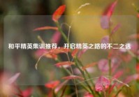 和平精英集训推荐，开启精英之路的不二之选