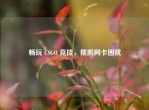 畅玩 CSGO 竞技，摆脱网卡困扰