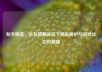 和平精英，队友隐藏战区下隐私保护与游戏社交的碰撞