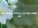 西北农林科技大学宋宇轩，PUBG 赛场上的璀璨之星