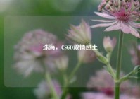 珠海，CSGO *** 热土