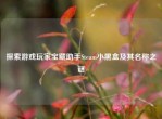 探索游戏玩家宝藏助手Steam小黑盒及其名称之谜