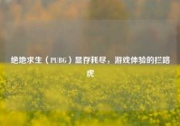 绝地求生（PUBG）显存耗尽，游戏体验的拦路虎