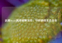 远离Steam离线破解文件，守护游戏生态安全