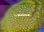 CSGO被锁原因剖析