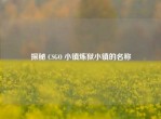 探秘 CSGO 小镇炼狱小镇的名称