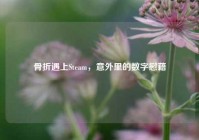 骨折遇上Steam，意外里的数字慰藉