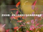 逆战初霜，战场上的凛冽之花及角色效果解析