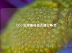 CSGO 受限账号能否进行炼金