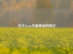 关于Steam外服黄油的探讨