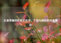 王者荣耀战队格式名字，个性与团队的完美融合