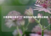 王者荣耀充值不了？原因探究与解决办法揭秘