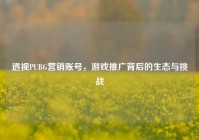 透视PUBG营销账号，游戏推广背后的生态与挑战