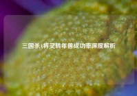 三国杀A将灵转年兽成功率深度解析