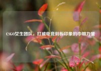 CSGO女生团队，打破电竞刻板印象的巾帼力量