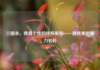 三国杀，独具个性的特殊昵称——游戏里的魅力名片