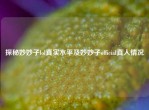 探秘妙妙子lol真实水平及妙妙子official真人情况