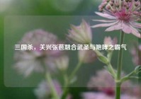 三国杀，关兴张苞融合武圣与咆哮之霸气
