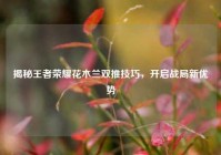 揭秘王者荣耀花木兰双推技巧，开启战局新优势