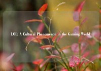 LOL: A Cultural Phenomenon in the Gaming World