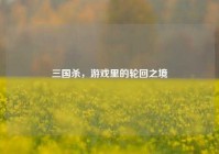 三国杀，游戏里的轮回之境