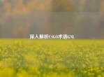 深入解析CSGO术语GNL