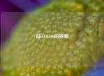 对cf131400的探索