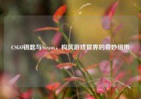 CSGO钥匙与Steam，构筑游戏世界的奇妙纽带