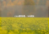 CSGO界传奇，NIP战队