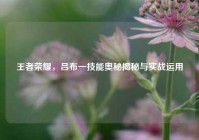 王者荣耀，吕布一技能奥秘揭秘与实战运用
