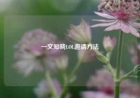 一文知晓LOL邀请方法