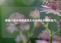 探秘三国杀晋国高清无水印照片的独特魅力
