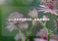 Steam买金币暗藏风险，务必谨慎对待