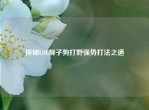 探秘LOL狮子狗打野强势打法之道