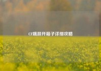 CF端游开箱子详细攻略