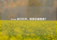 Steam 自行打开，惊喜还是隐患？