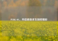 PUBG OC，开启绝地求生别样精彩